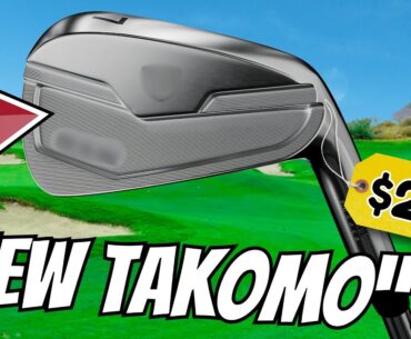 These NEW BUDGET Irons Are "The NEW TAKOMO's"!?