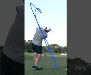 The swing path of the best ball striker in the world. #TaylorMade #shorts