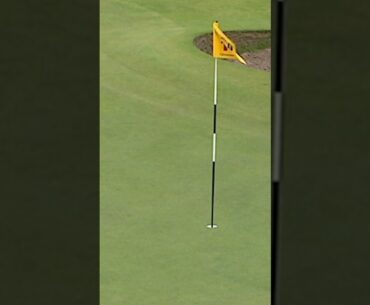 John Daly hole out!! 😍 #golf