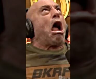 The Fight that Saved the UFC