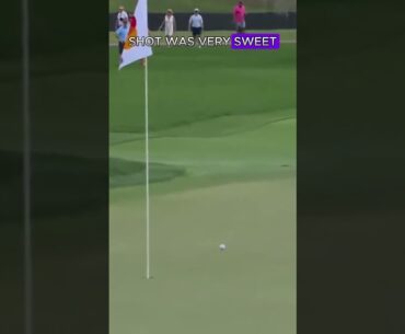 Hideki Matsuyama’s Near-Miss and Brilliant Recovery #golfhighlights #golfshots