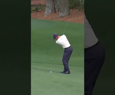 손으로 던지는 듯한 부드러움 I 아담 스콧(Adam Scott)