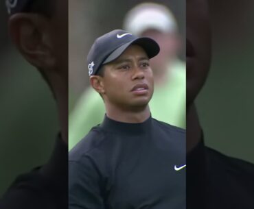 The sound of Tiger Woods Iron #golf #tigerwoods #golfswing #golfinstruction #golfswing #golfskill