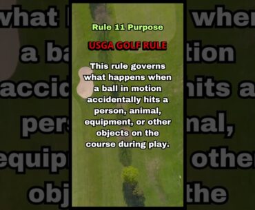 USGA GOLF RULE 11 PURPOSE OF RULE 11