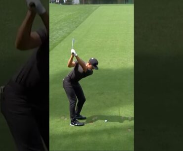 간결한 백스윙과 임팩트 I 카메론 챔프(Cameron Champ)