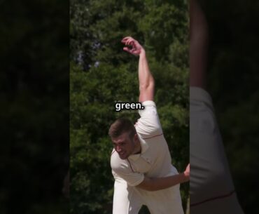 Strength of Australian Cricket Team Today #cricket #cricketshorts