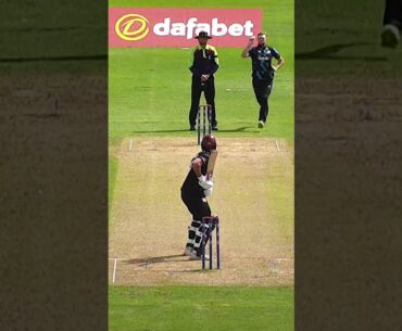 Tom Taylor with an absolute stunner!  #cricket #wicket