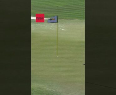 Grillo Emiliano makes the 12th hole-in-one ever on the famous 16th hole #trending #shorts #video