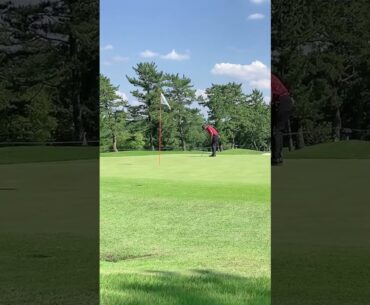 #蝉川泰果 プロ　第91回日本プロゴルフ選手権大会 2024 予選2日目　2024/7/5 #golf #ゴルフ #日本プロゴルフ選手権 #志野 OUT8番 #パッティング #パター #ロングホール