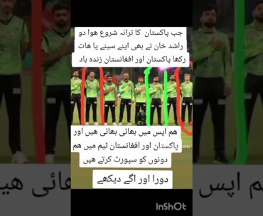 Rashid Khan   #cricket #ytshort #ytshorts #trending