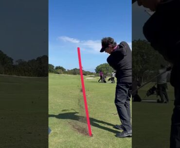 No tree to shape a shot around? No problem. Bubba will just use Matt instead. 😂