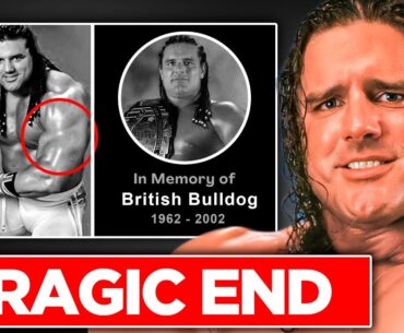 How The British Bulldog's MASSIVE SIZE Led To His DEATH | Tragic True-Life Story