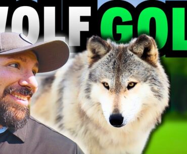 The Golf Game Wolf EXPLAINED!