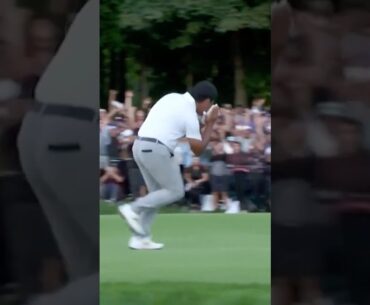Si Woo Kim Actin Like Curry