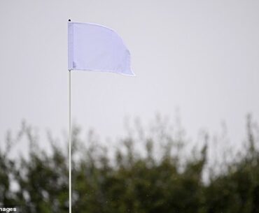 The Genesis Invitational will have an all-white flag on the seventh hole at Torrey Pines
