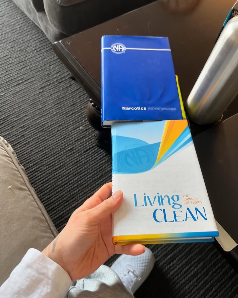 Hand holding a Narcotics Anonymous book titled "Living Clean" on top of a Narcotics Anonymous workbook.