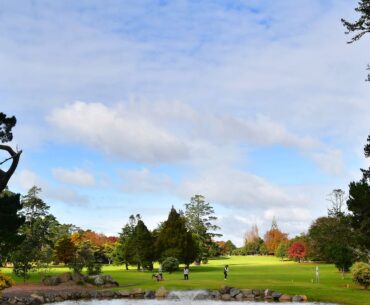 Takapuna Golf Club at risk as Auckland Council proposes to turn AF Thomas Park into wetland and flood storage