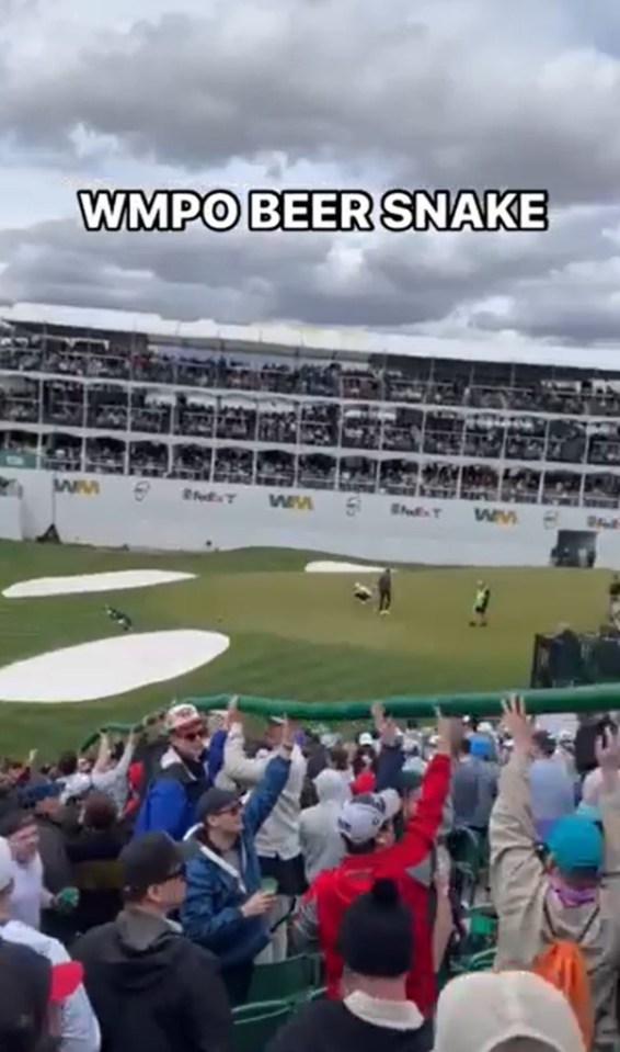 The beer snake was on-point