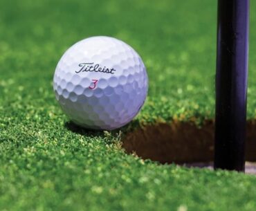 'Wee golf course' proposed in Benton Harbor