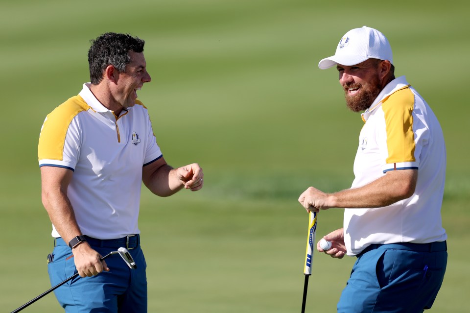 McIlroy and Lowry agreed to team up during a 'drunken lunch' after the Ryder Cup