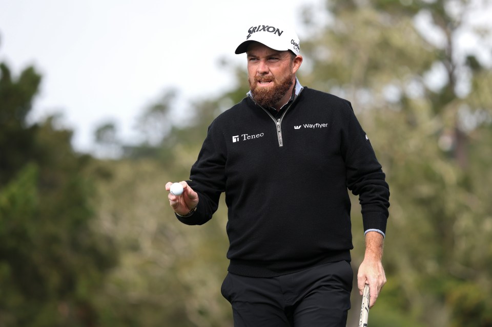 Coltart believes Lowry could've shouted 'fore!' after his wayward shot