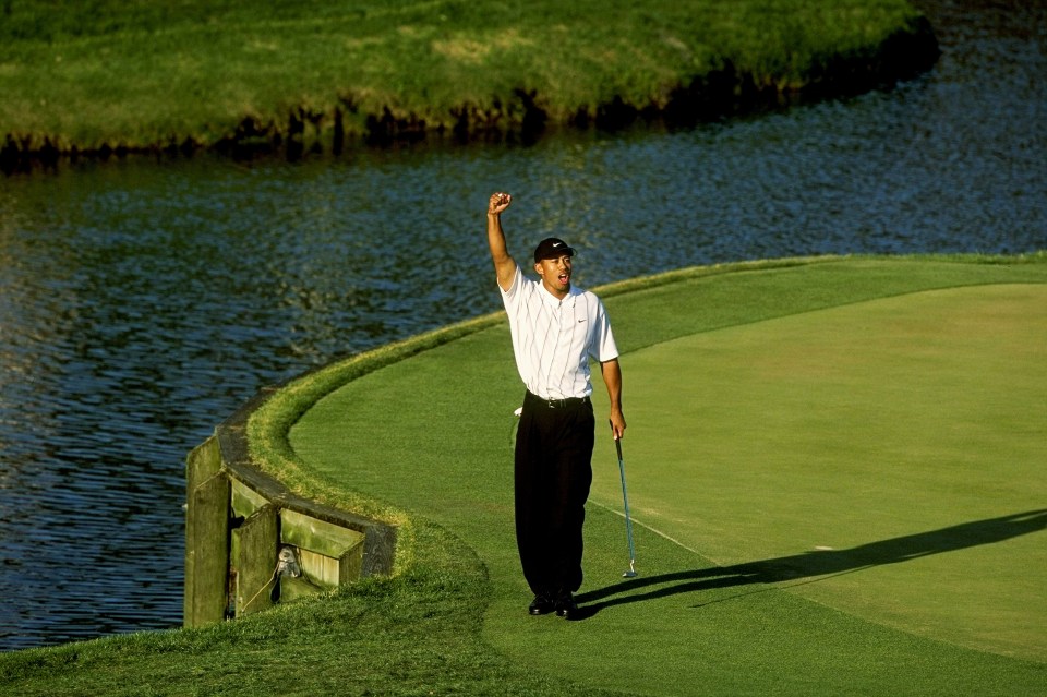 Woods celebrates his victory at the 2001 Players
