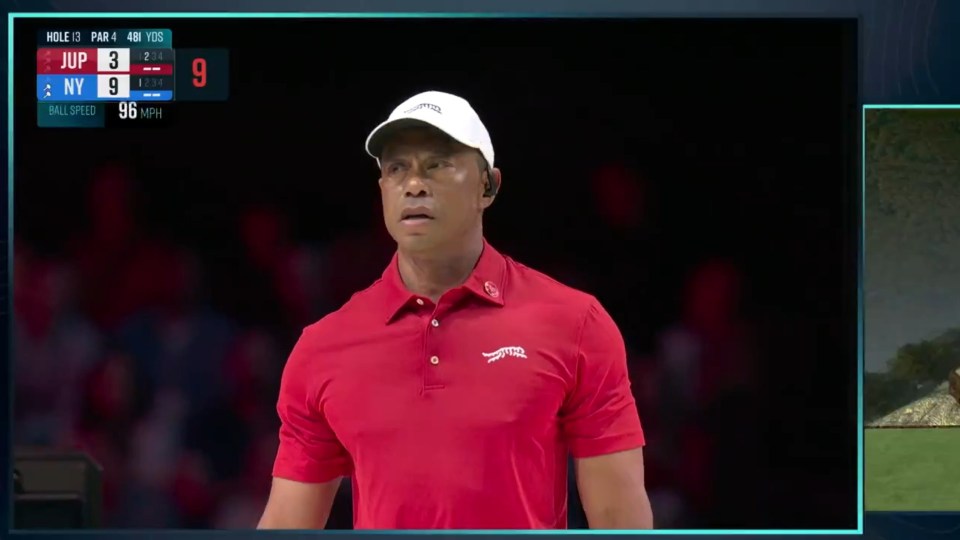 Tiger Woods on a golf course.