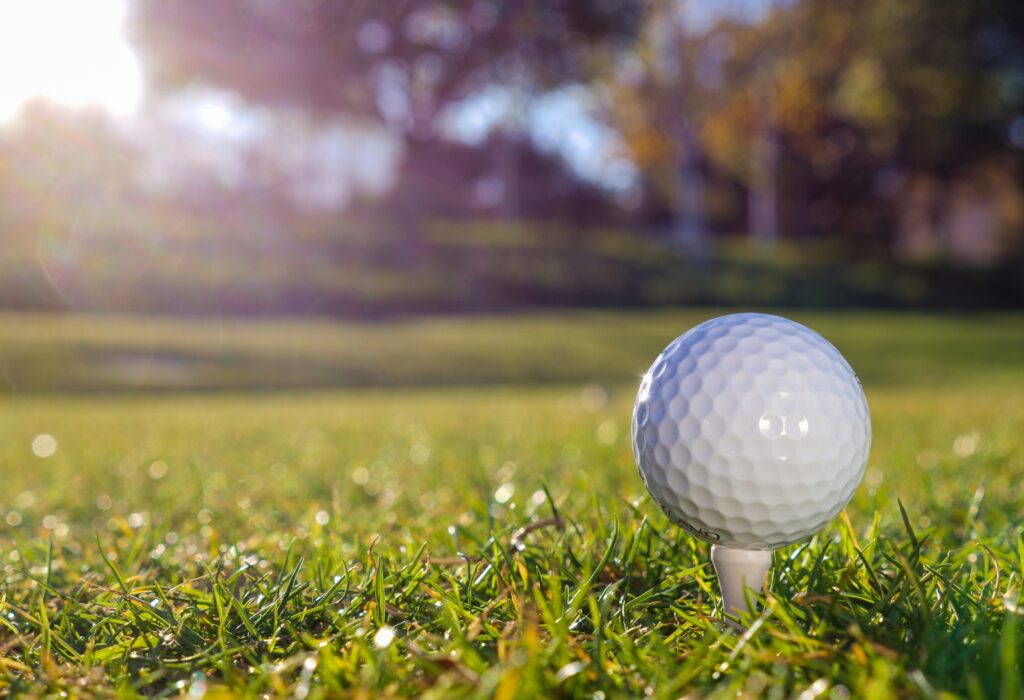 Team preview: Girls golf set to make its PHS debut