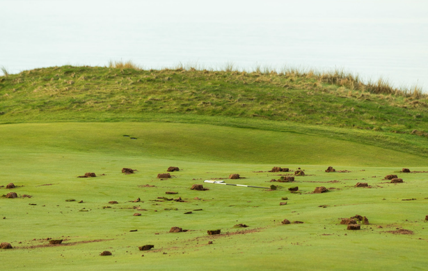 Damage to the greens at Trump Turnberry.
