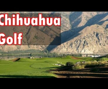 Top Golf Courses in Chihuahua, Mexico