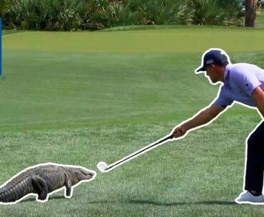 Billy Horschel takes on ALLIGATOR with 60-degree wedge | Cognizant Classic