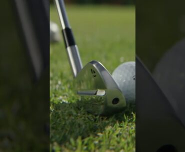 A strike that stirs the soul. #P790