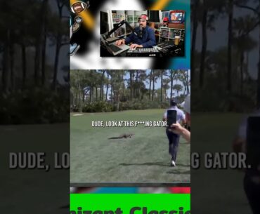 Billy Horschel fights off an alligator! #pgatour #billyhorschel #golf #sportstalk
