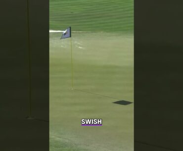 Insane Golf Hole-in-One! WM Phoenix