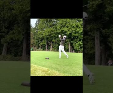 片岡尚之 Naoyuki Kataoka  #golf #美しいスイング #ゴルフ #美しいスイング #ゴルフ #綺麗なスイング #綺麗なスイング #golfswing #美スイング