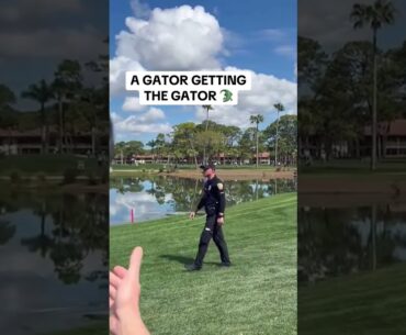 Billy Horschel knows how to tame a gator 😎