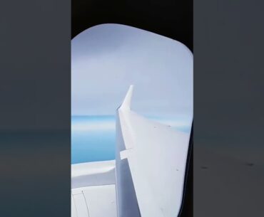 Kai Trump's tour of TRUMP FORCE ONE!