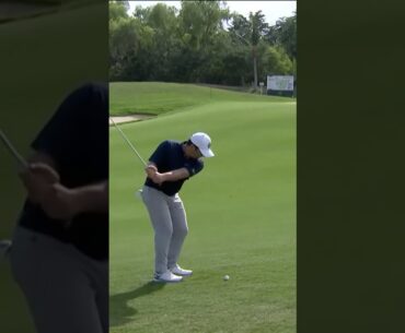 짧고 부드러운 몸통 스윙  I 프란체스코 몰리나리 (Francesco Molinari)
