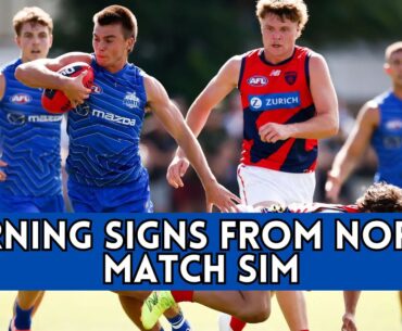 WORRIED.. North Melbourne v Melbourne Match Sim Review