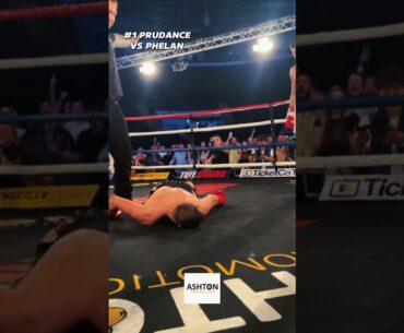 Best Knockouts of 2024 🔥
