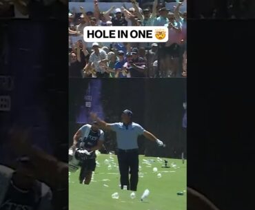 HOLE IN ONE!! PATRICK REED ACES HOLE 12 AT LIV GOLF ADELAIDE #golf #liv #livgolf #tigerwoods #lefty