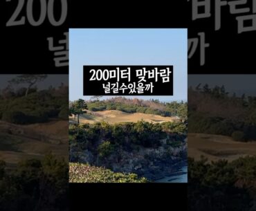 파인비치 시그니처홀 파3 200미터 맞바람 넘길수있을까? #파인비치 #골프장 #골프