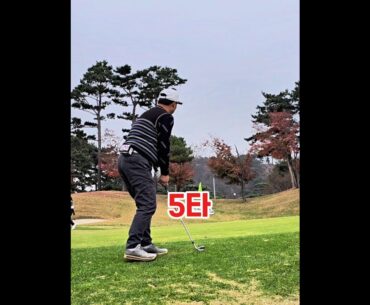 안속인다 안속여 #골프 #스코어 #캐디 #golf