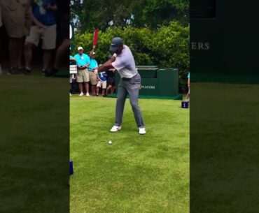 Tiger Woods Iron Tee Shot Swing #golfswing #tigerwoods #golf