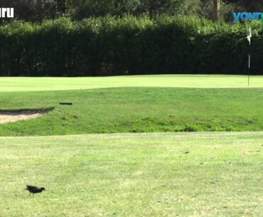 Penina Golf Course Portugal