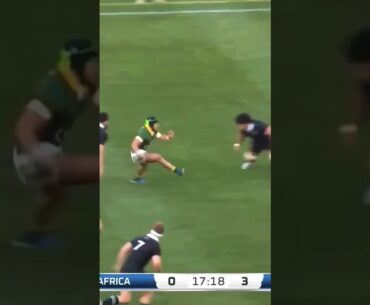 Cheslin Kolbe EPIC FOOTWORK vs All Blacks 2024 Springboks #kolbe #springboks #rugby by