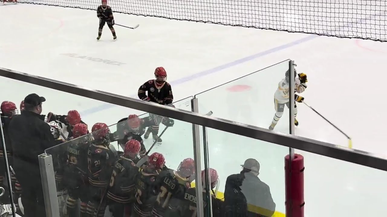 2025.03.08 – U11 AA KC Cougars (4) vs Sturgeon Sting (2) 2025.03.08 - U11 AA KC Cougars (4) vs Sturgeon Sting (2)