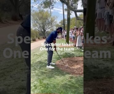 Max Homa hits spectator in the face.  #golf #funny