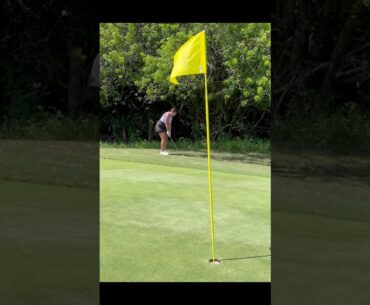 Chip Shot after a missed green in regulation ⛳️ #golf #golfswing #shortgame #golfer #golfcourse