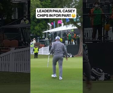 🚨 LIV LEADER PAUL CASEY CHIPS IN FOR PAR! 😱 #LIV #golf #Livgolf #golfer #tigerwoods